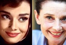 Audrey Hepburn Died